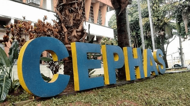 Quais os cursos oferecidos pelo CEPHAS em São José dos Campos
