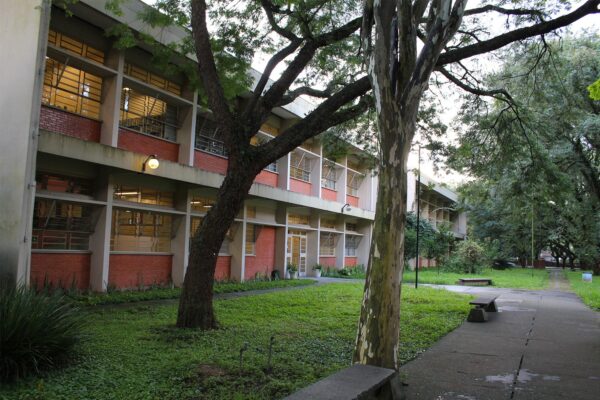 Como é o curso de psicologia da USP?